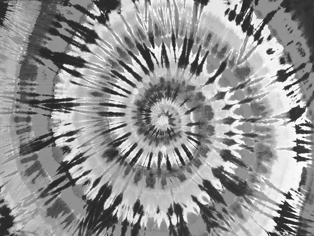 Wall Art Painting id:325029, Name: Tie Dye Black and White, Artist: Kearns, Molly