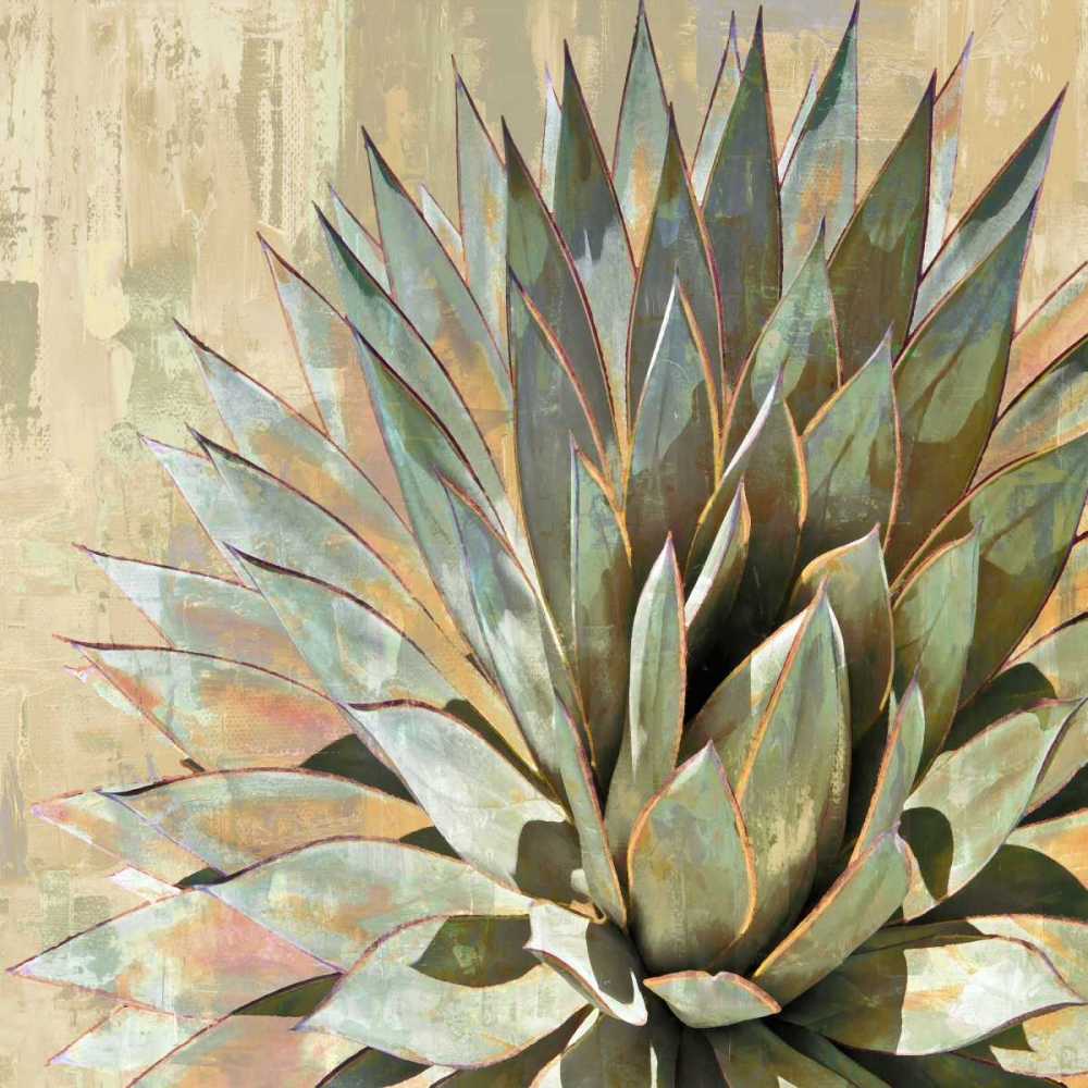 Wall art: Succulent I, by Benson, Lindsay