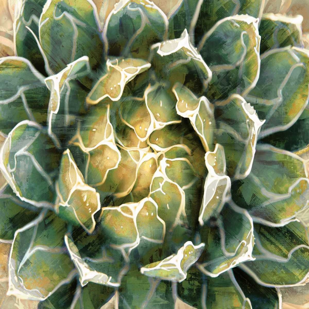 Wall art: Succulent III, by Benson, Lindsay