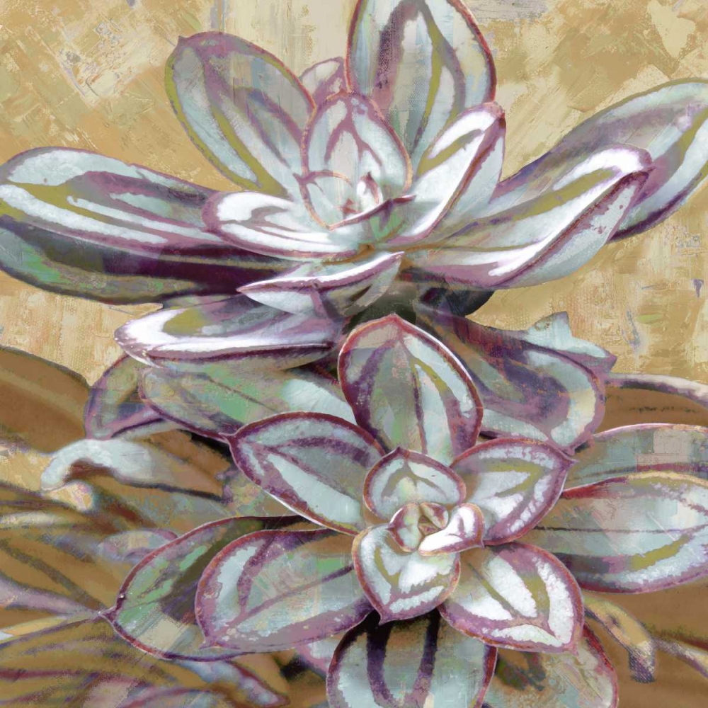 Wall Art Painting id:319010, Name: Succulent IV, Artist: Benson, Lindsay
