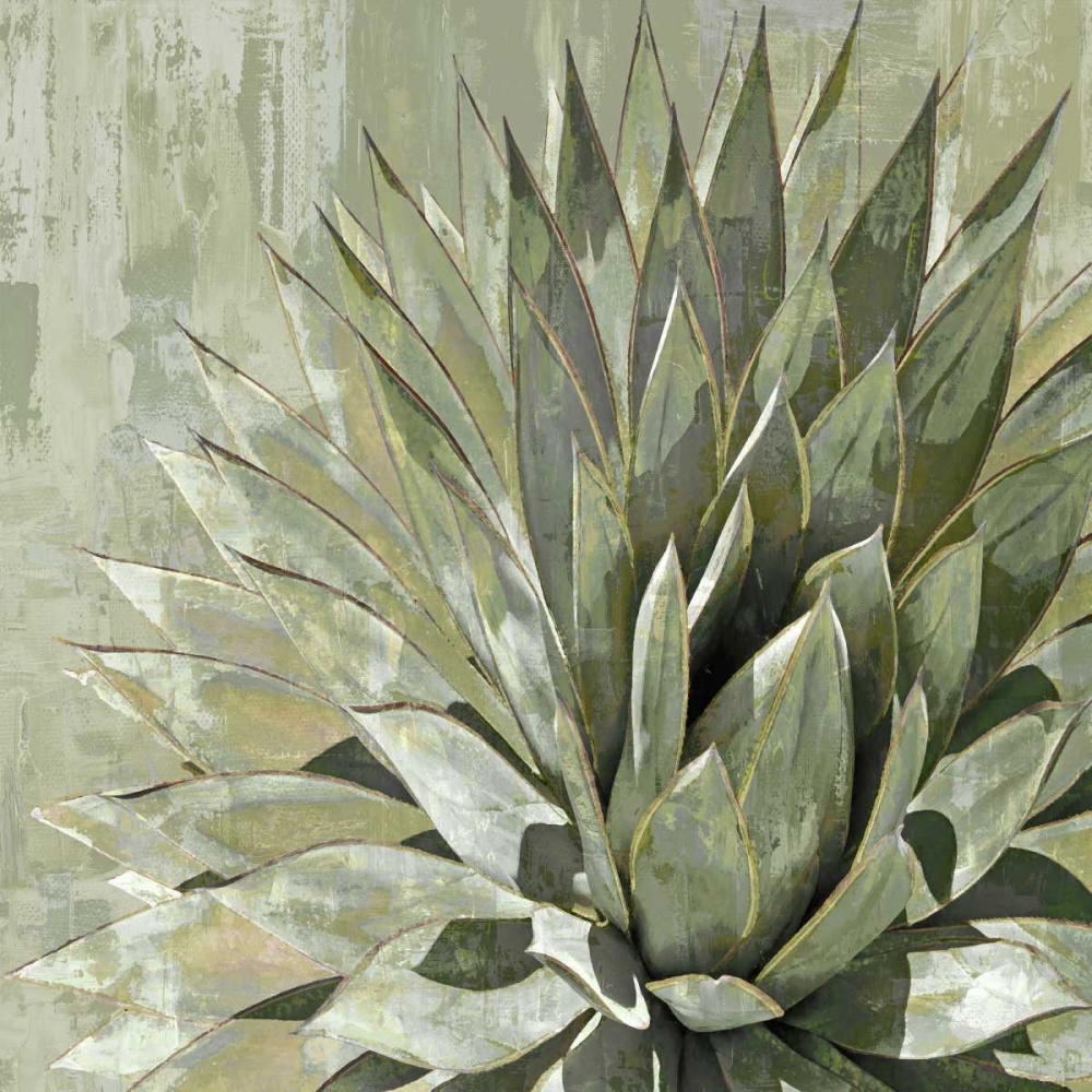 Art Print: Succulent Verde I