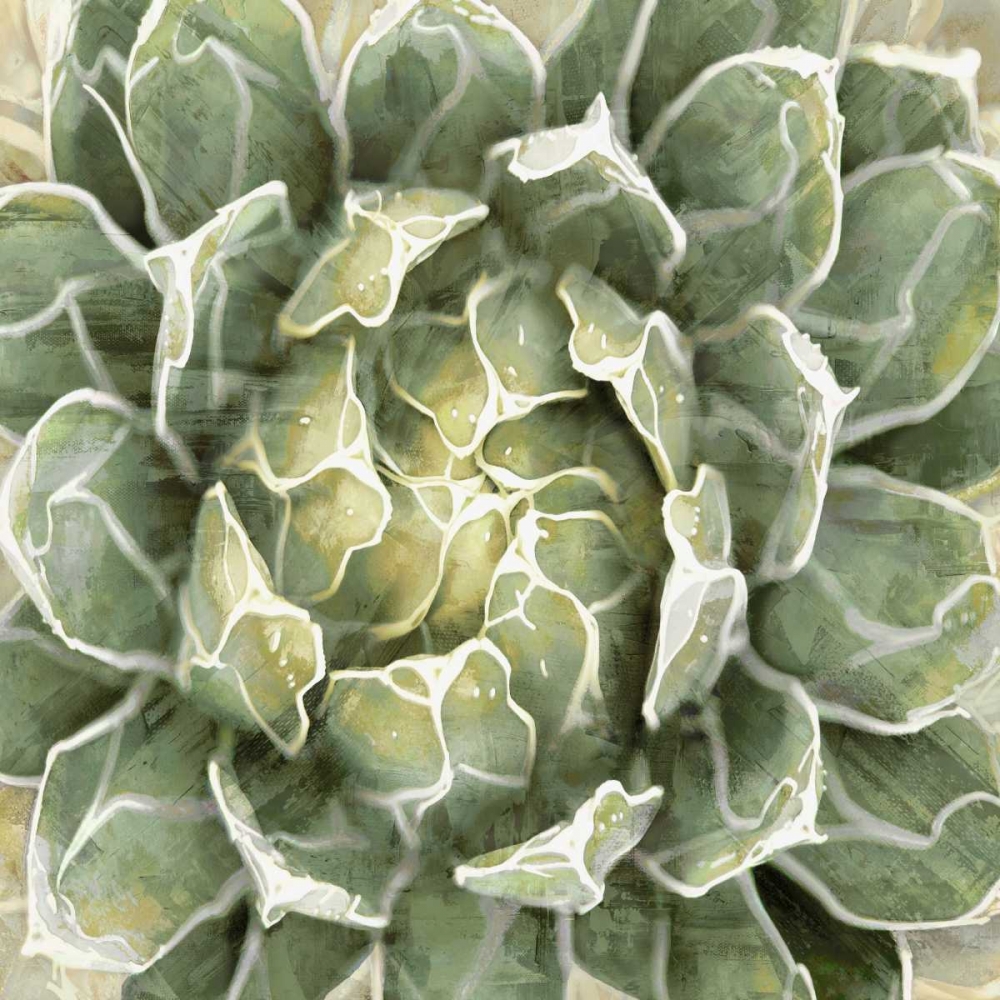 Wall art: Succulent Verde III, by Benson, Lindsay