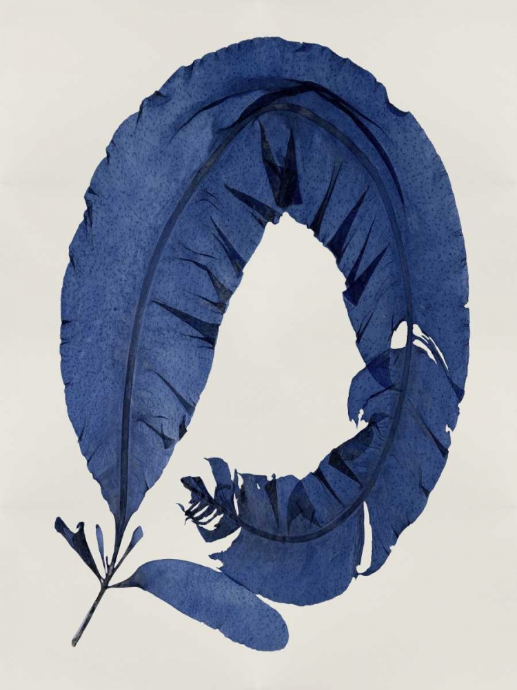 Art Print: Sea Life - Indigo I