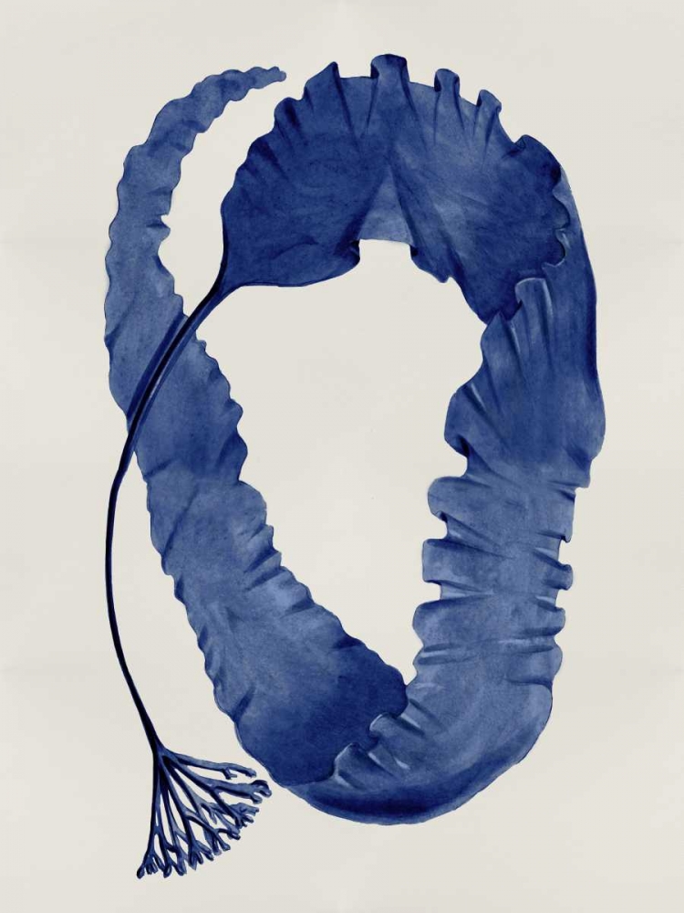 Art Print: Sea Life - Indigo II