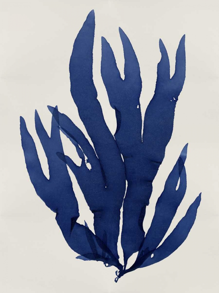 Art Print: Sea Life - Indigo III