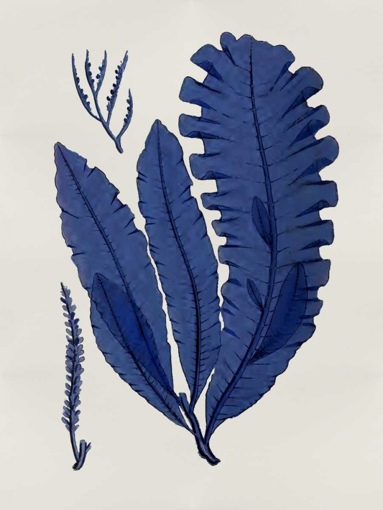 Art Print: Sea Life - Indigo IV