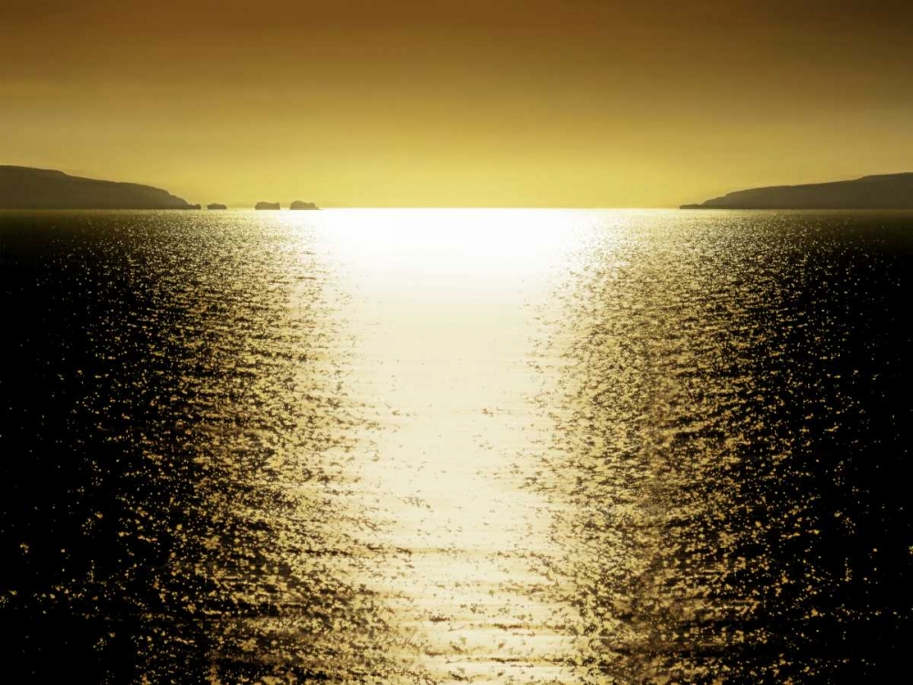 Art Print: Sunlight Reflection - Golden
