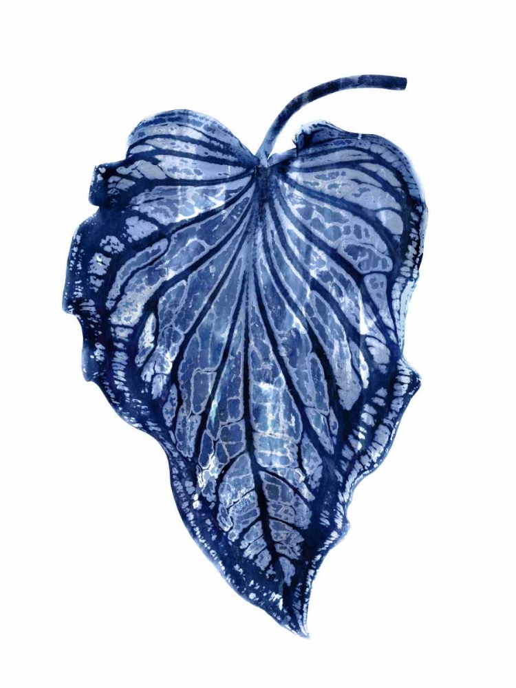 Wall Art Painting id:319082, Name: Indigo Palm III, Artist: Miller, Melonie