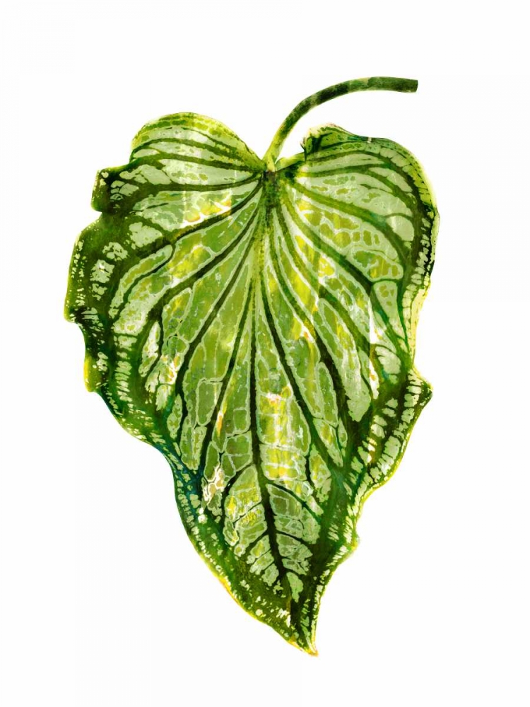 Wall Art Painting id:319086, Name: Palm III, Artist: Miller, Melonie