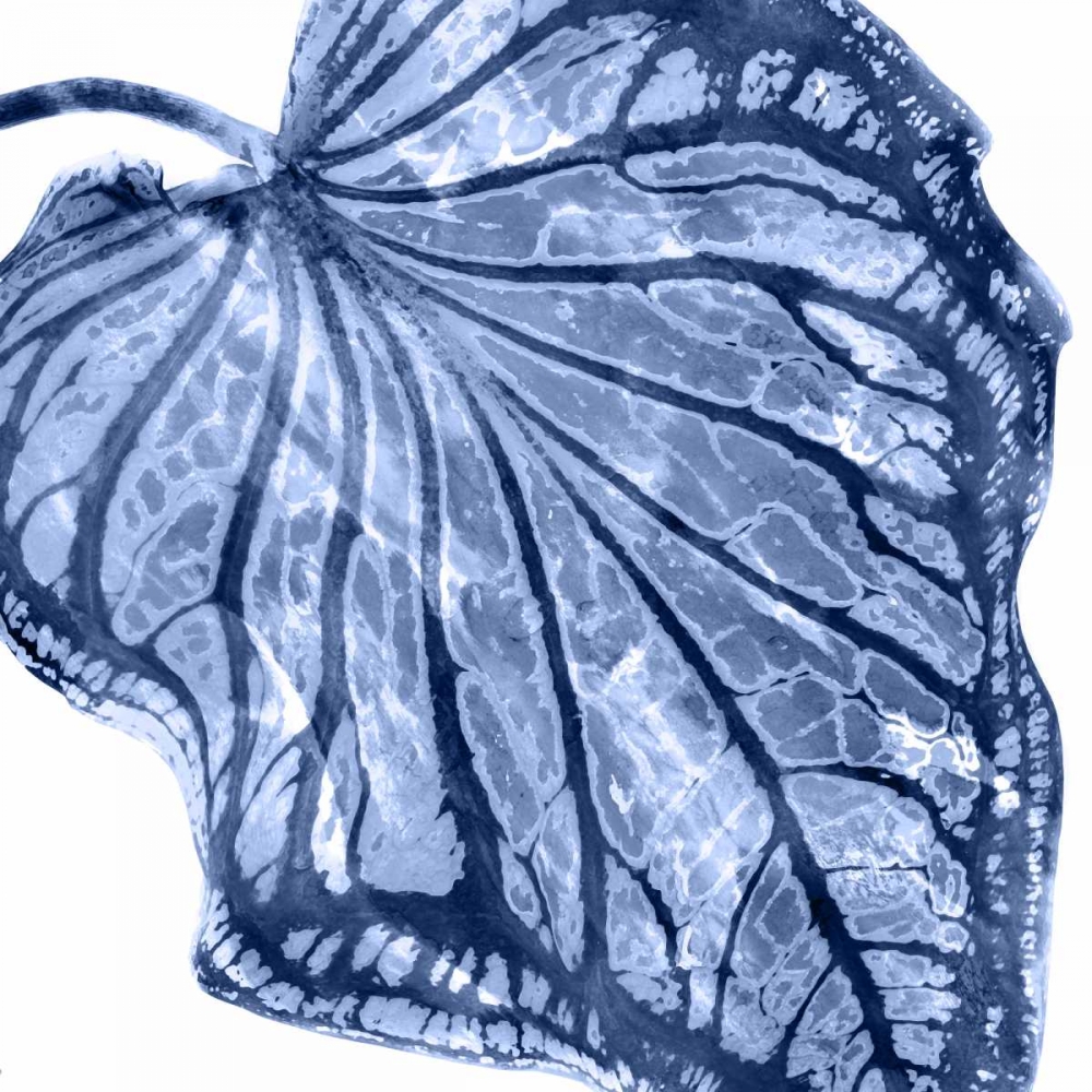 Wall Art Painting id:319094, Name: Tropical Indigo Palm III, Artist: Miller, Melonie