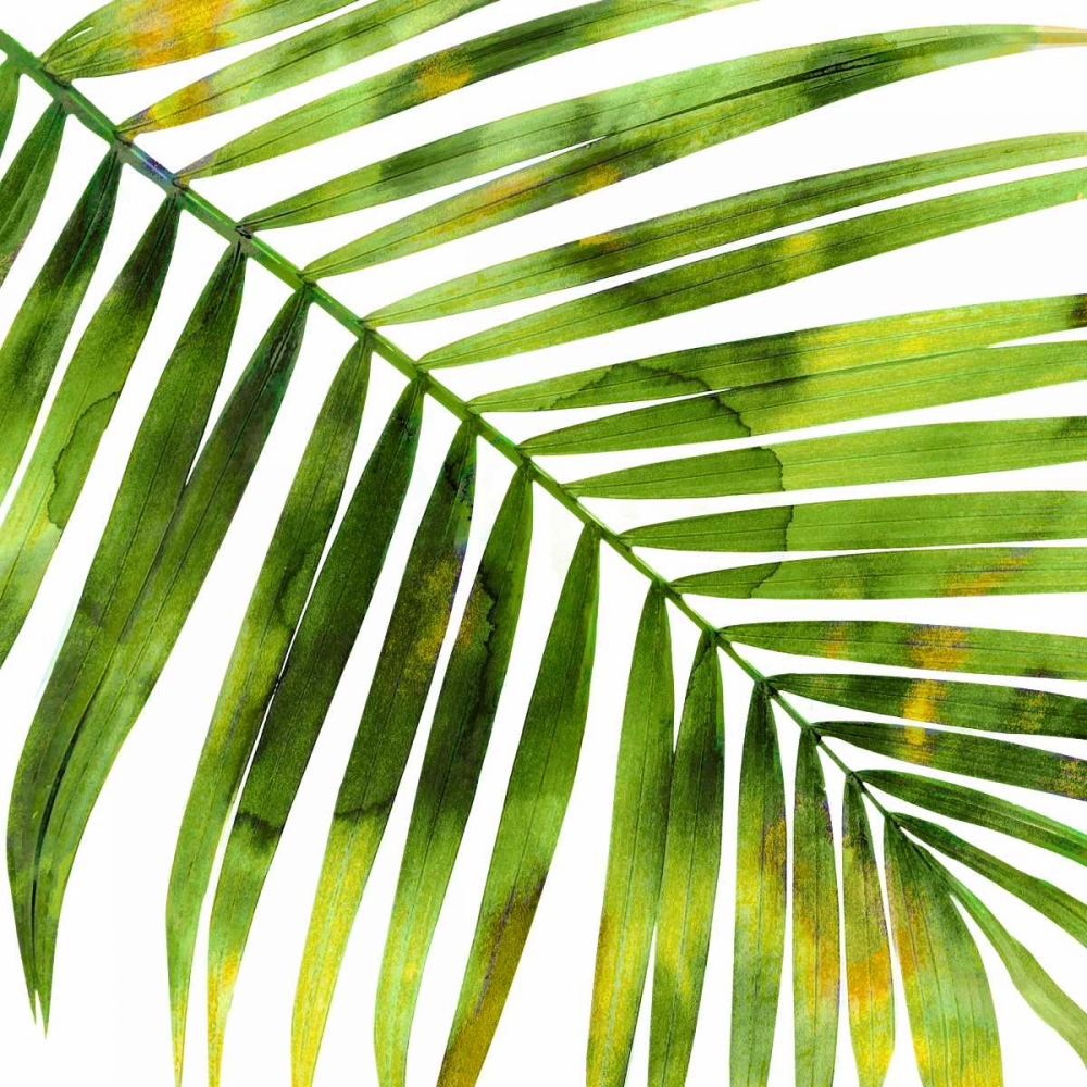 Wall art: Tropical Palm I, by Miller, Melonie