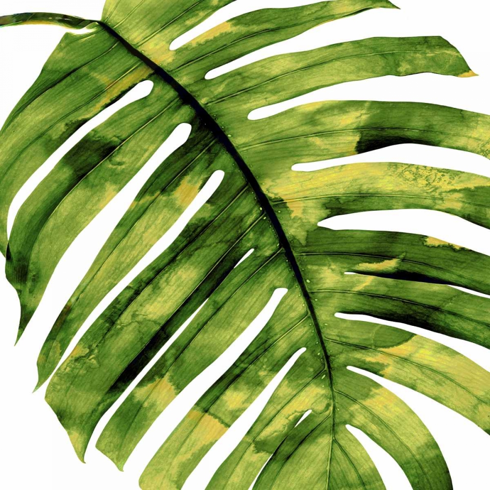Wall art: Tropical Palm II, by Miller, Melonie