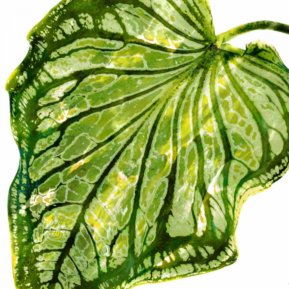 Wall art: Tropical Palm III, by Miller, Melonie