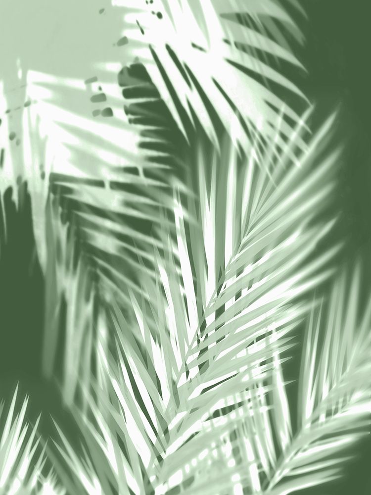 Art Print: Palm Shadows Green II