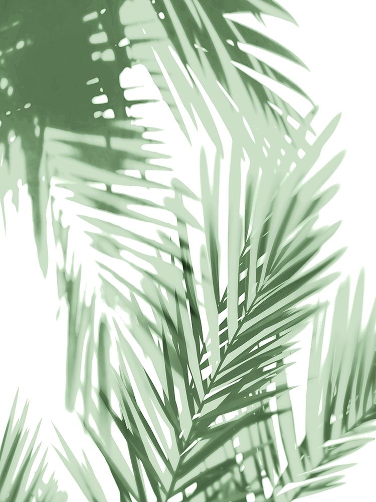 Art Print: Palm Shadows Green IV