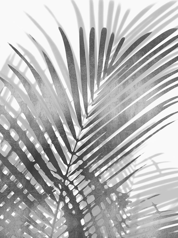 Art Print: Palm Shadows I