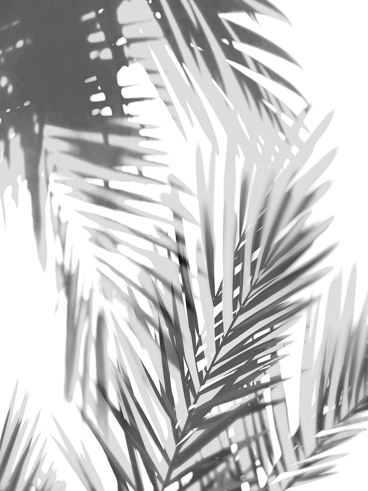 Art Print: Palm Shadows II