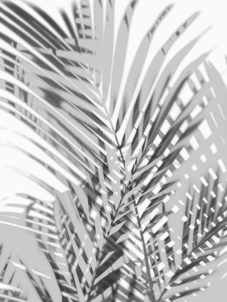 Art Print: Palm Shadows III