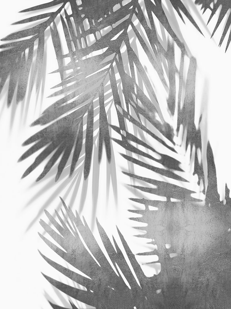 Art Print: Palm Shadows IV