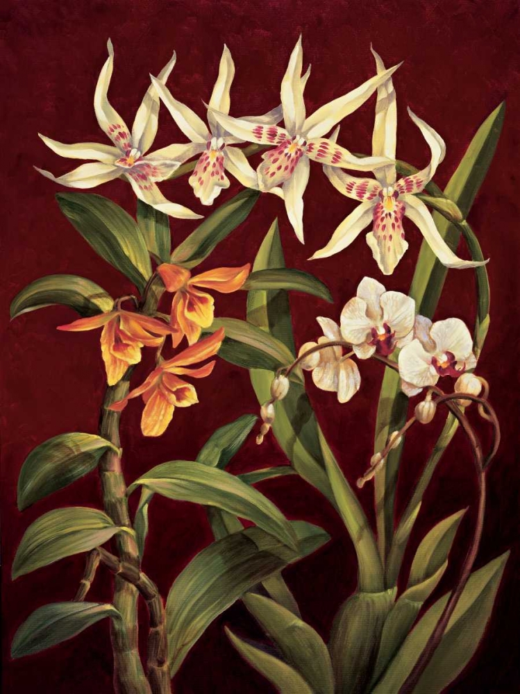 Art Print: Orchid Trio I