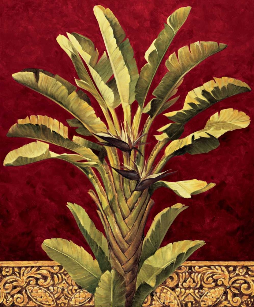 Art Print: Travelers Palm