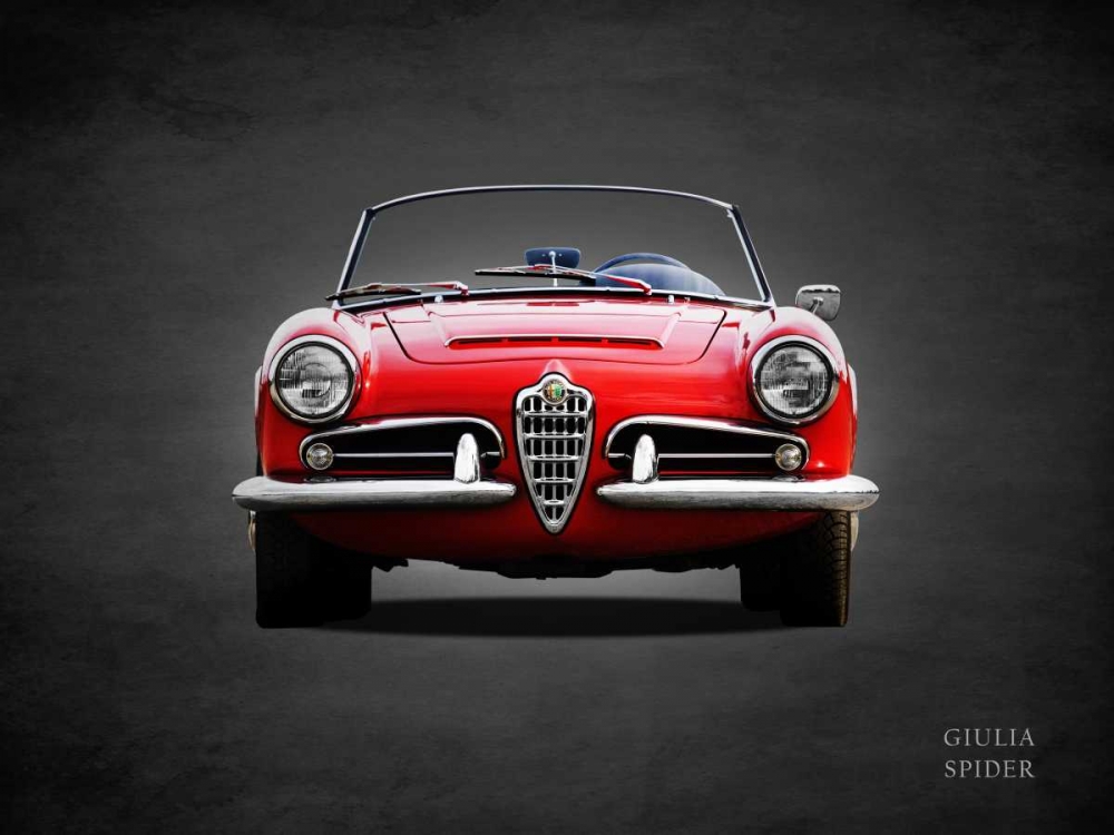 Wall Art Painting id:319392, Name: Alfa Giulia 1600 Spider 1964, Artist: Rogan, Mark