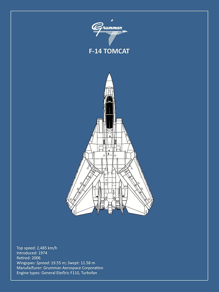Wall art: BP F-14-Tomcat , by Rogan, Mark