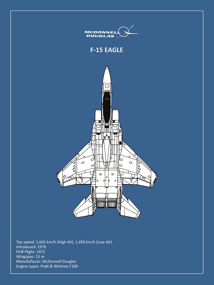 Wall art: BP F15 Eagle , by Rogan, Mark