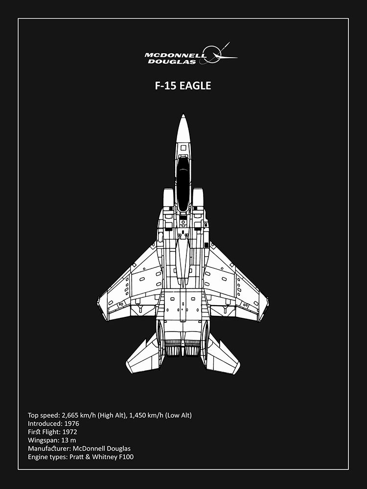 Art Print: BP F15 Eagle Black 