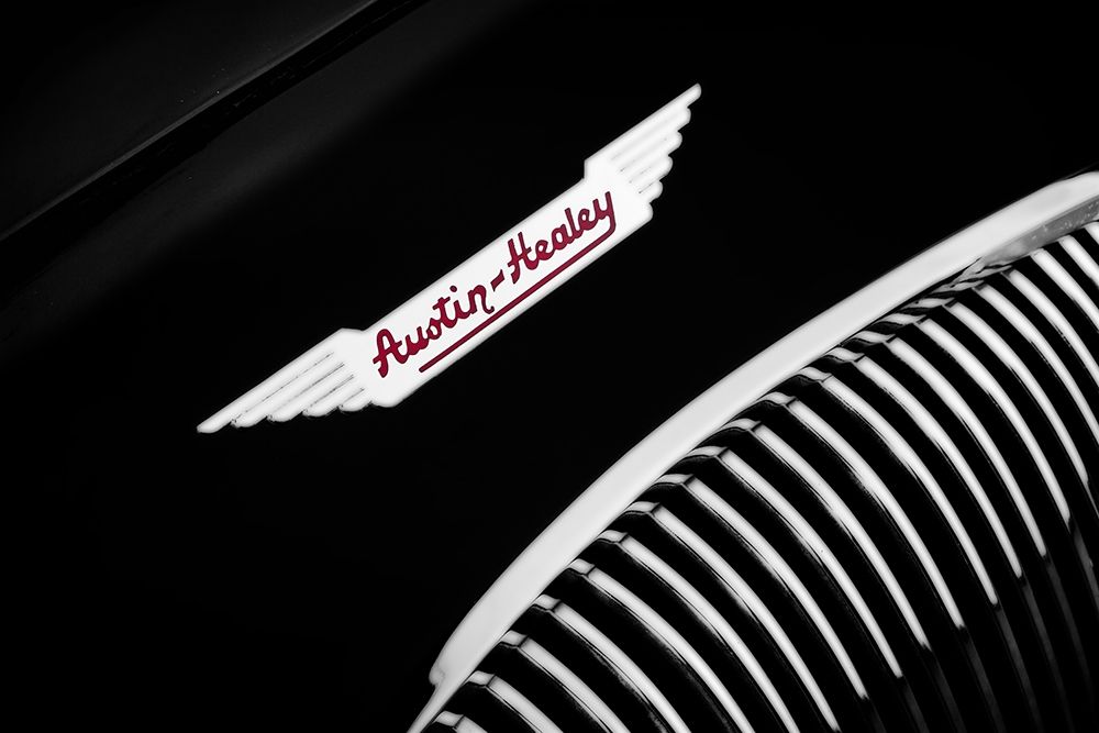 Wall art: Austin-Healey 100 Detail, by Rogan, Mark
