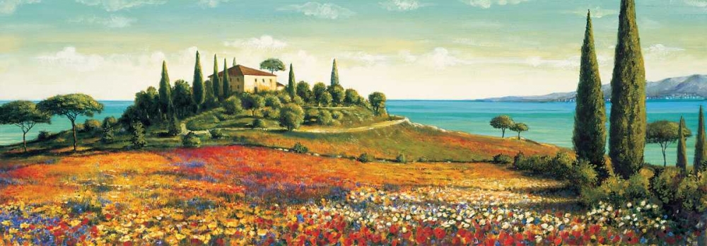 Art Print: Afternoon Light