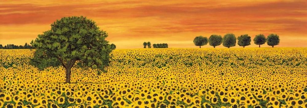 Wall Art Painting id:316857, Name: Field of Sunflowers, Artist: Leblanc, Richard