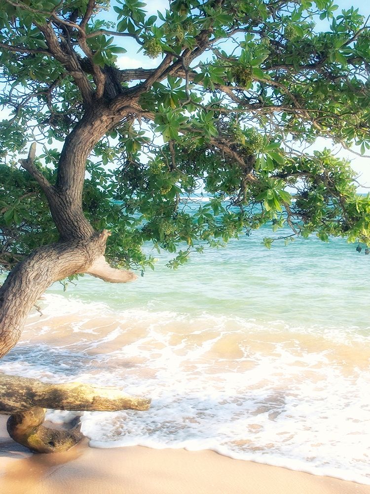 Art Print: USA, Hawaii, Kauai