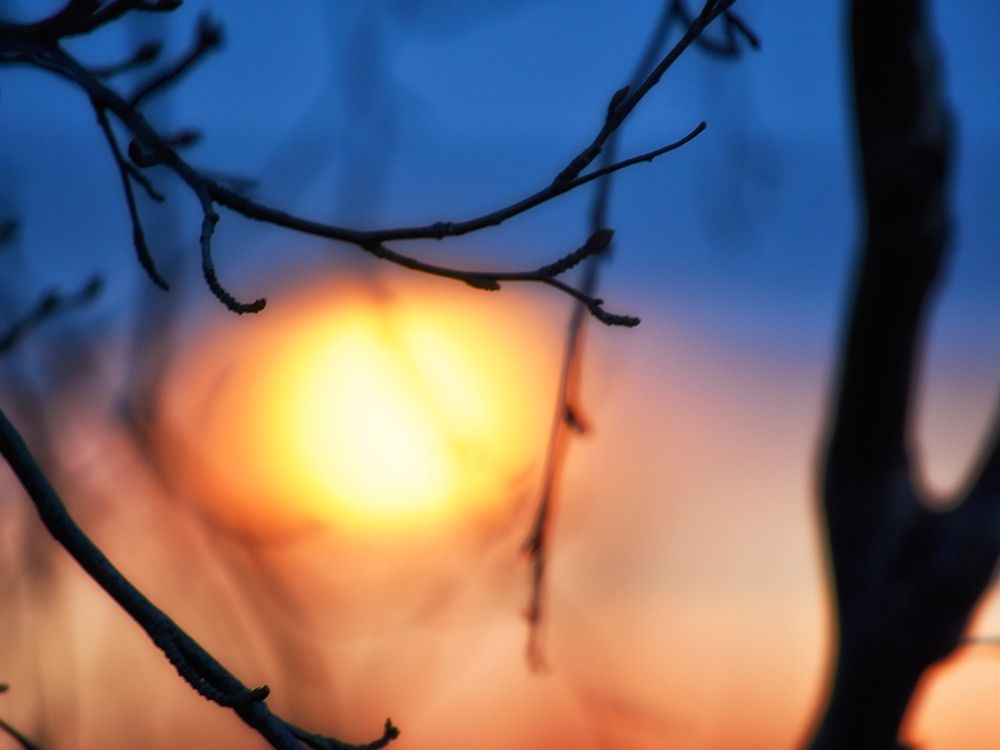 Art Print: Abstract Sunset