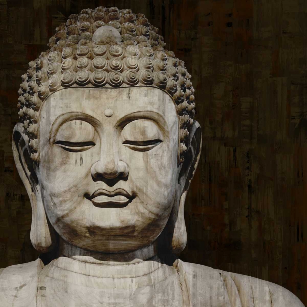 Wall Art Painting id:314977, Name: Meditative II, Artist: Bray, Tom