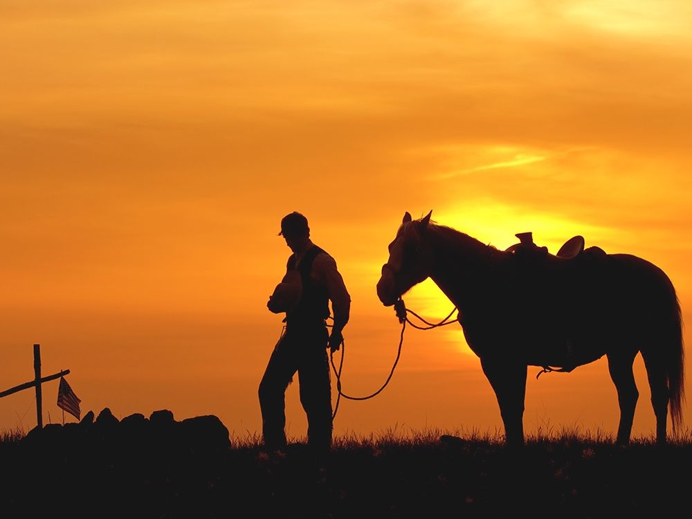 Wall art: Evening Visit, by Dawson, Robert