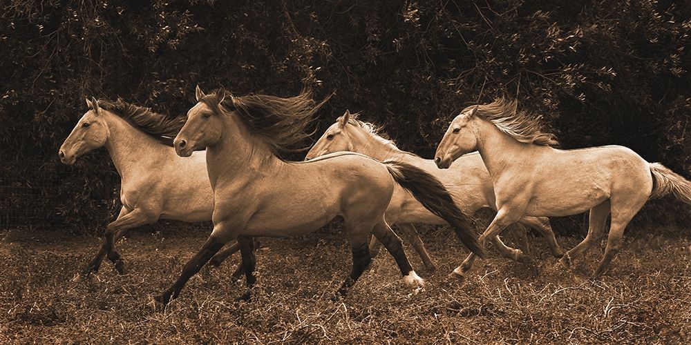 Wall art: Feeling Good, by Dawson, Robert