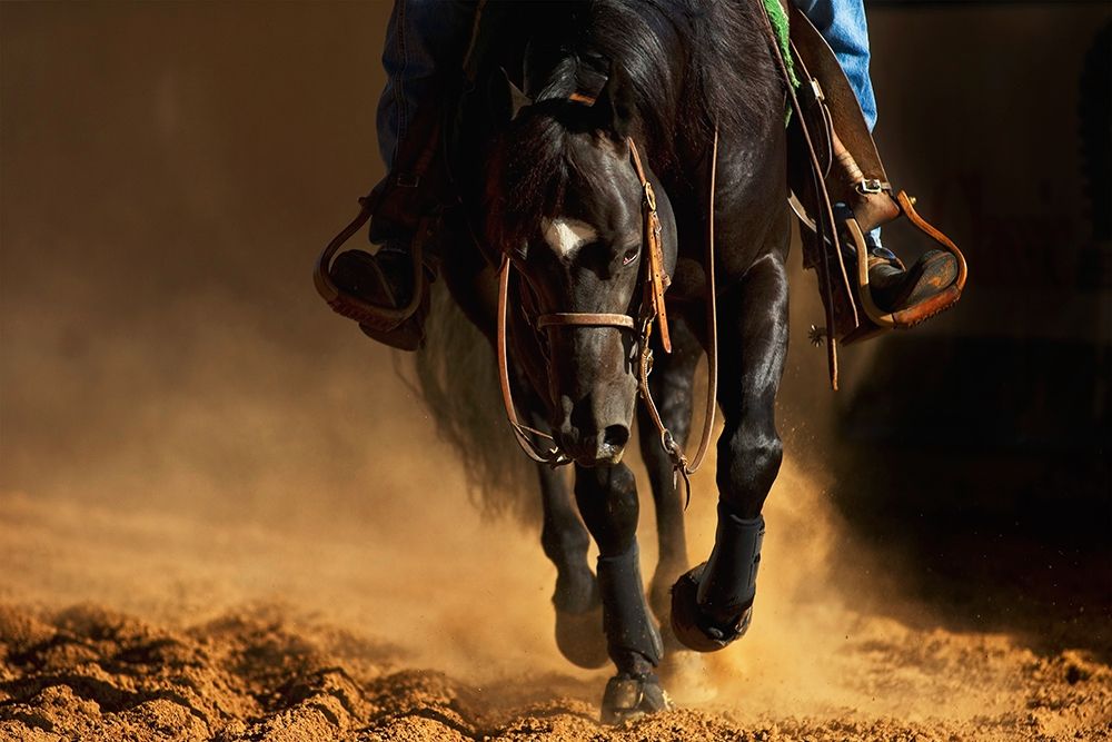 Wall art: The Reiner, by Dawson, Robert