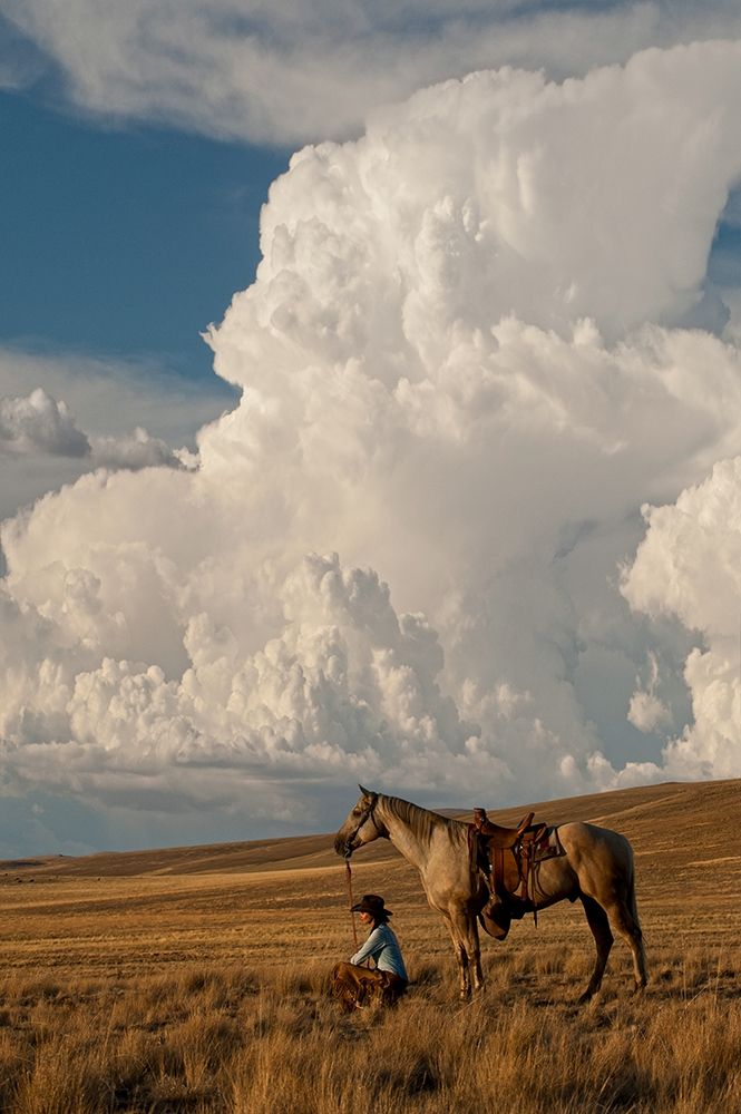 Art Print: Thunder On the Prairie