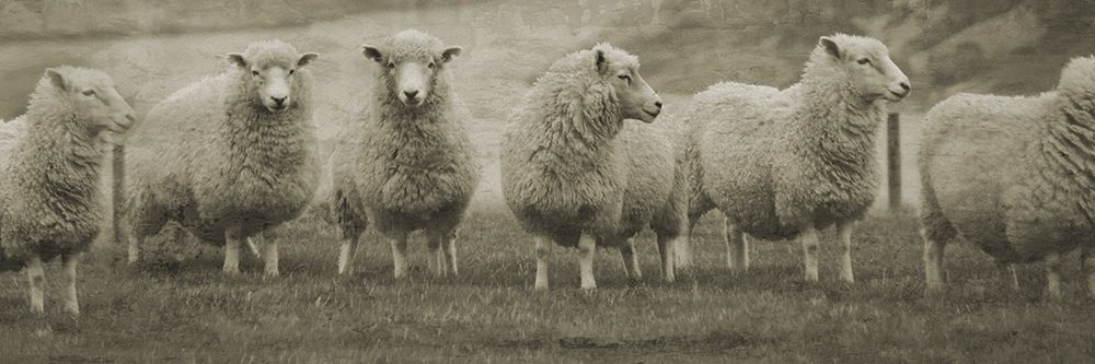 Wall Art Painting id:306127, Name: Pasture Graze , Artist: Phillip, Jamie