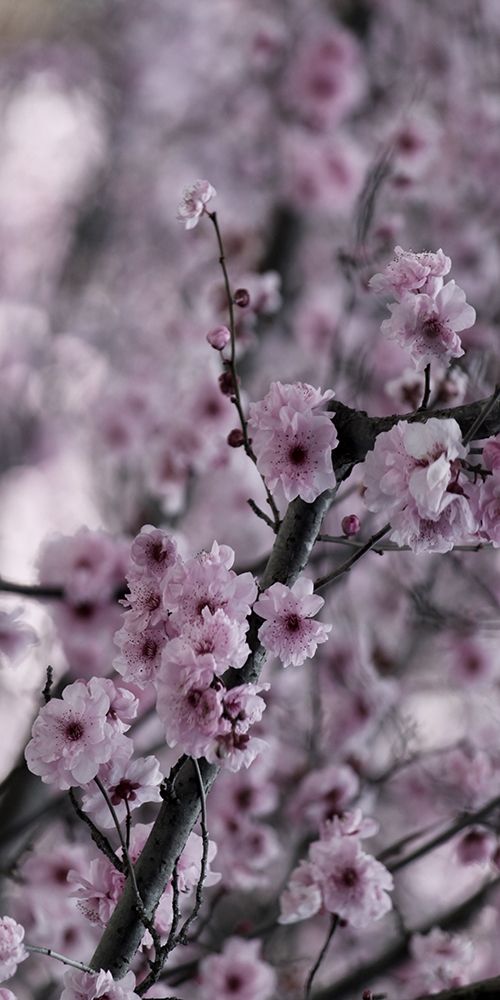 Similar wall art painting: 306163