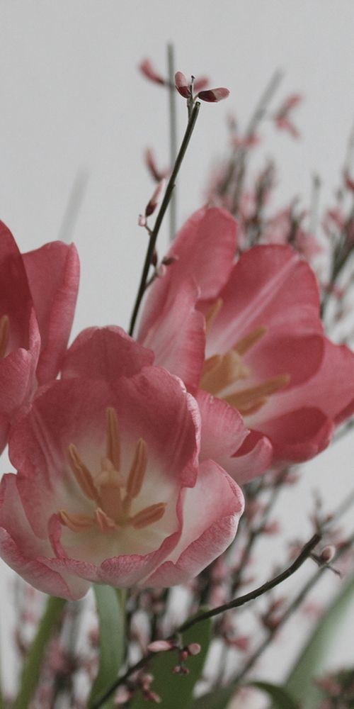 Similar wall art painting: 306164