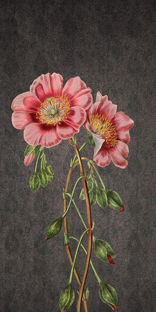 Wall Art Painting id:306147, Name: Garden, Artist: Phillip, Jamie