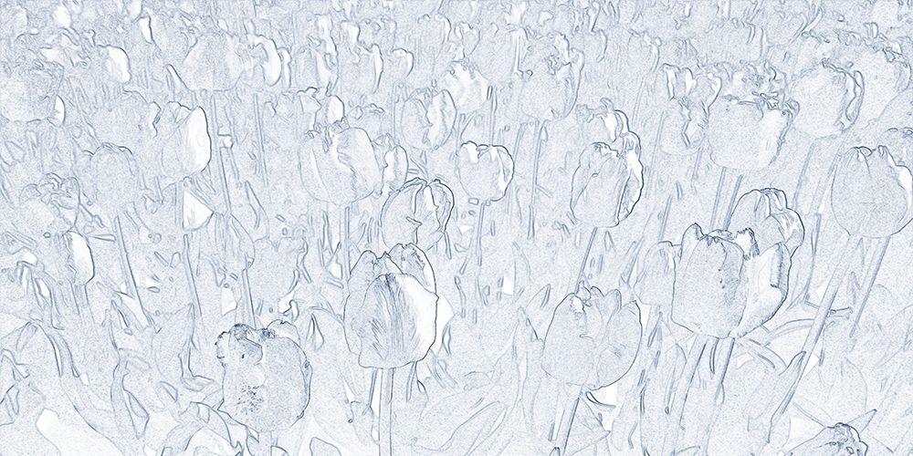 Wall Art Painting id:306207, Name: Twilight Tulip, Artist: Phillip, Jamie