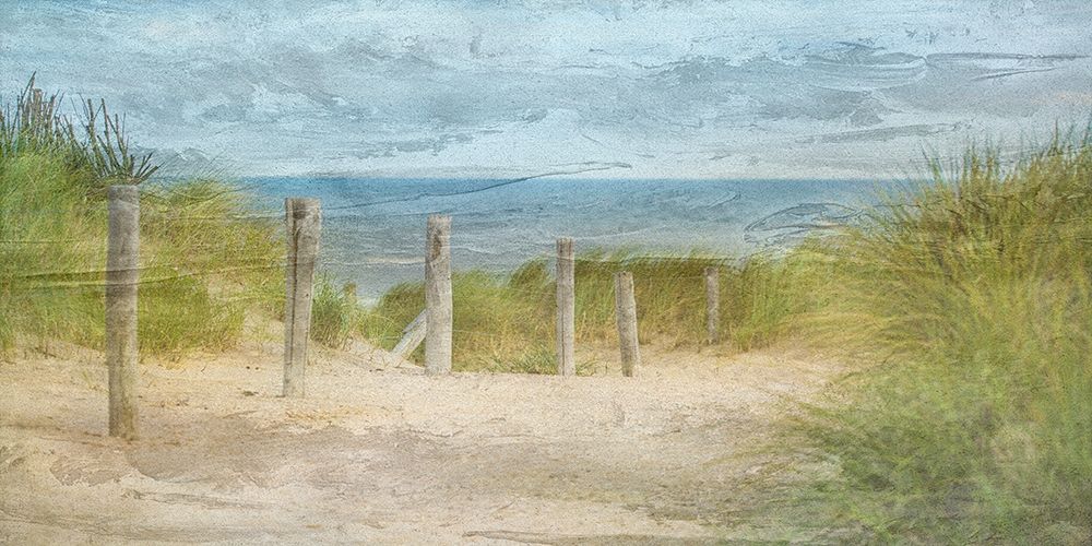 Wall Art Painting id:306179, Name: Coast To Coast 1, Artist: Phillip, Jamie