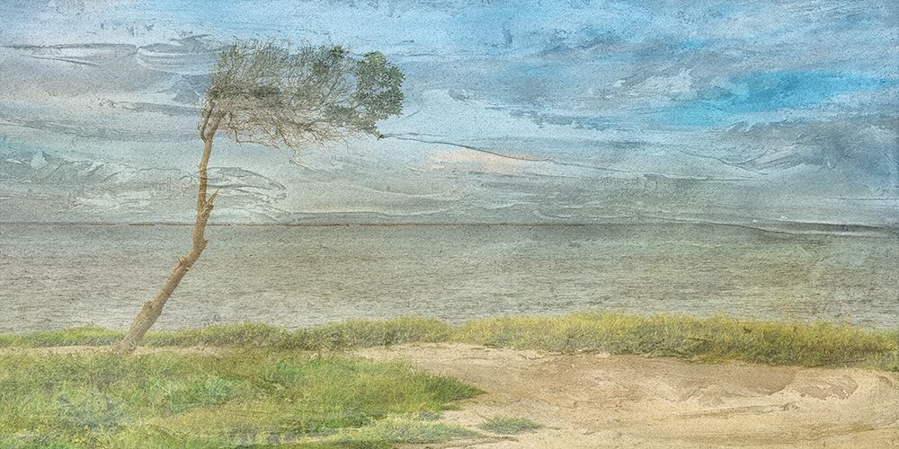 Wall Art Painting id:306180, Name: Coast To Coast 2, Artist: Phillip, Jamie