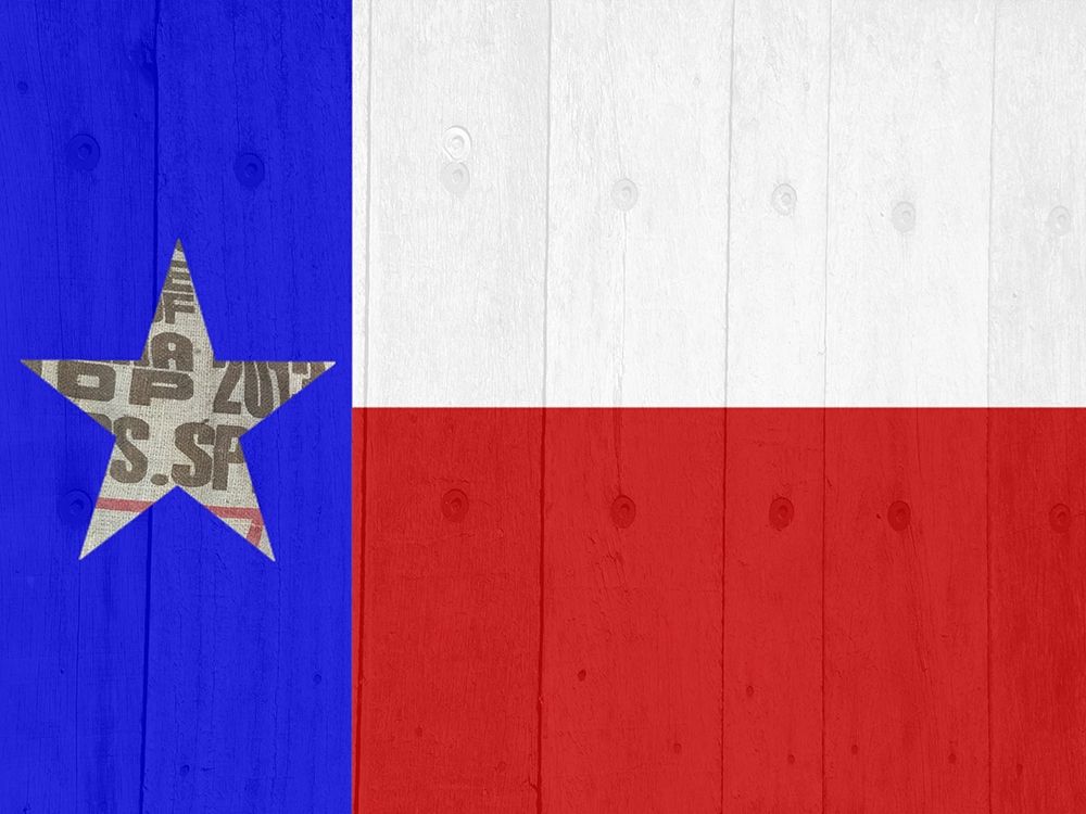 Wall Art Painting id:409390, Name: Texas, Artist: Phillip, Jamie