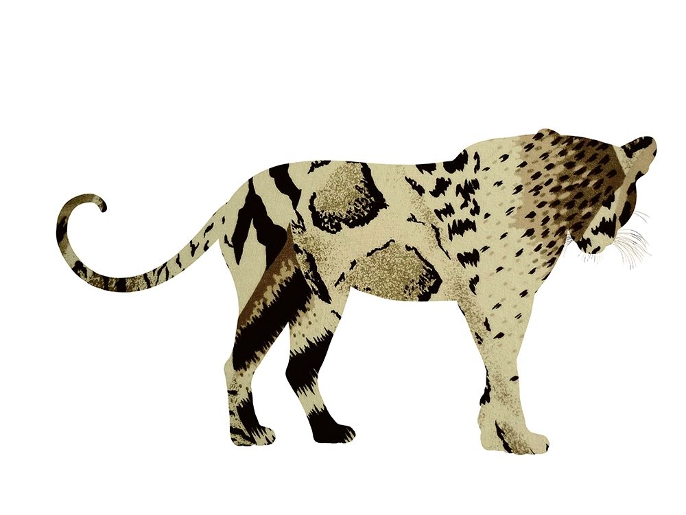 Wall Art Painting id:306241, Name: Light Paw, Artist: Phillip, Jamie