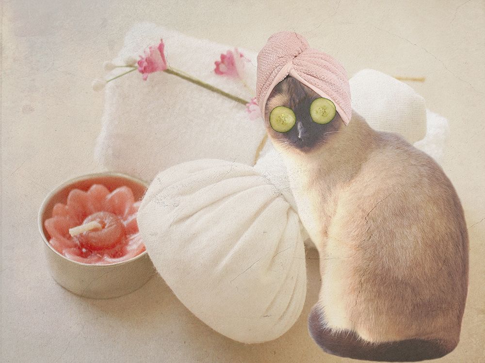 Similar wall art painting: 306252