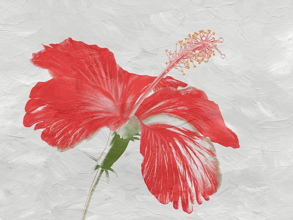 Similar wall art painting: 306272